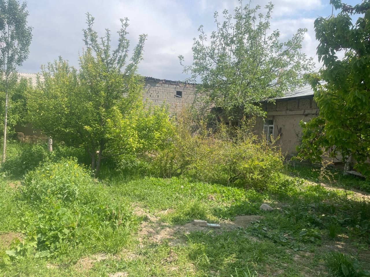 Parkent tumanida 5 sotih yer sotiladi