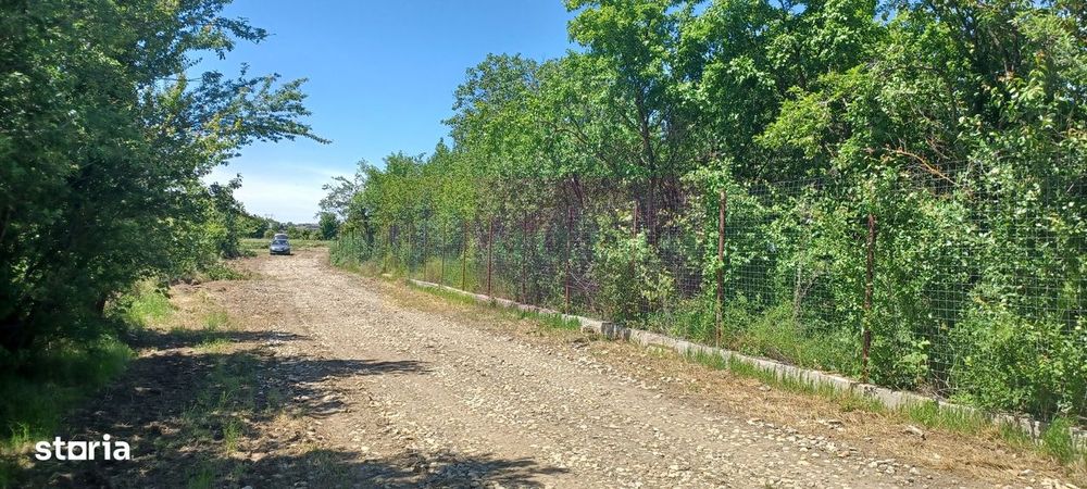 Săbăreni, lot de casă 500 mp, curent lângă teren