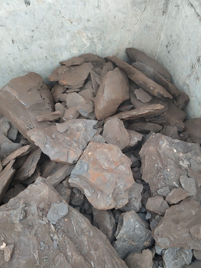 Cărbune lignit lemnos bulgari