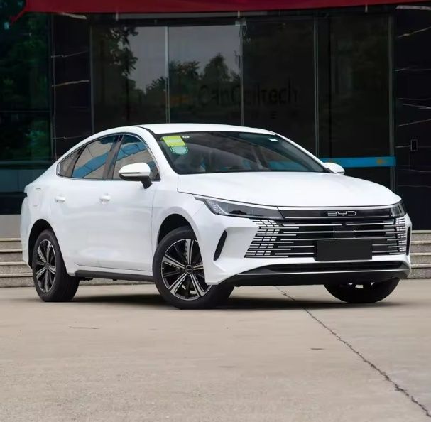 Транспортные услуги премиум-класса — BYD Chazor