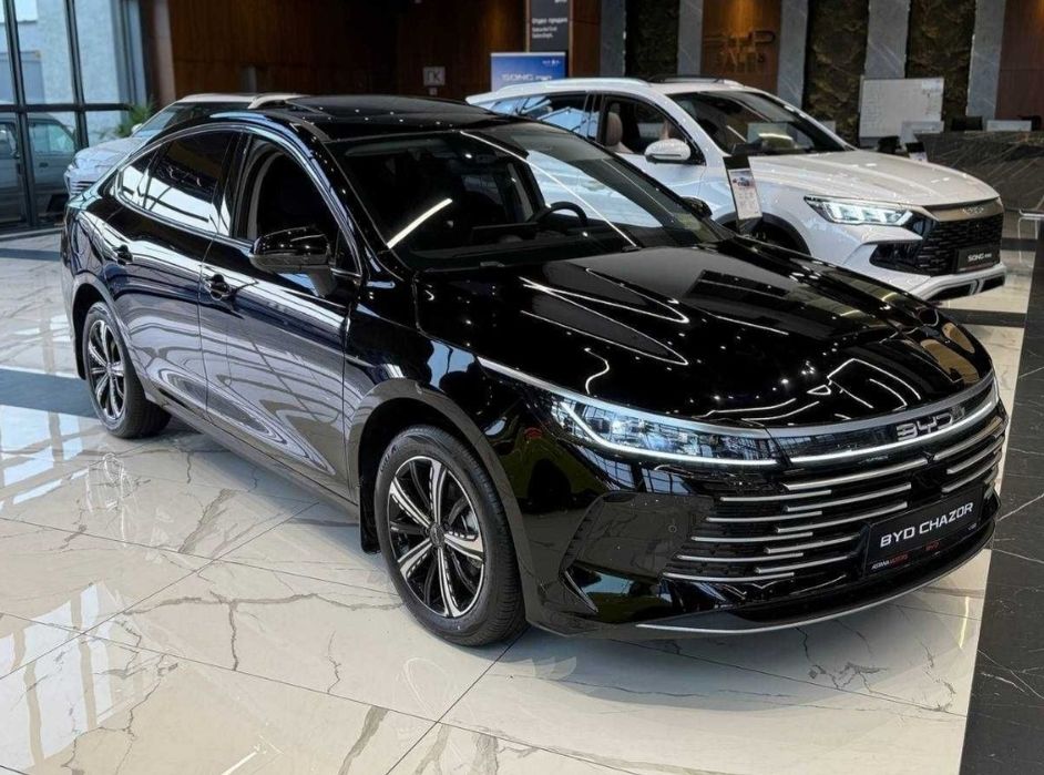 Аренда сухая BYD чазор