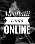 Meditații Canto/Teorie/Solfegiu 1 la 1 SAU Grupuri