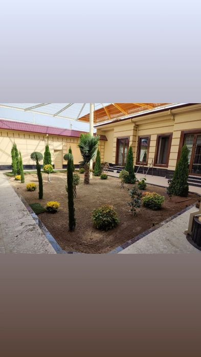 Арчалар. Бор. Зурларидан. Хархил. Мевалиг. Дарахлар   Асарти.  Нархи.