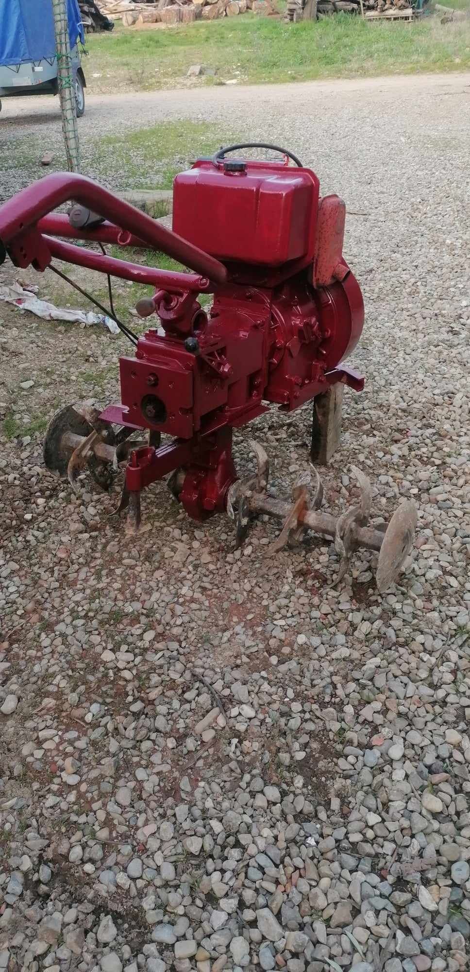 Motosapă diesel.