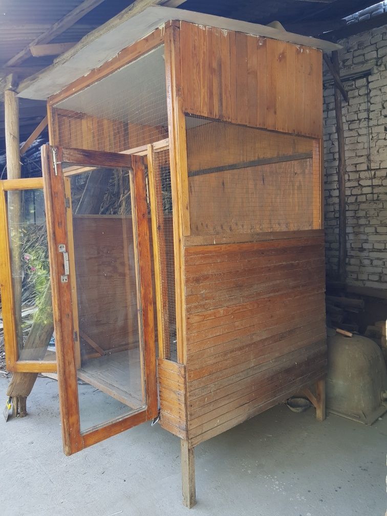 Katak holati zur deyarli yangi