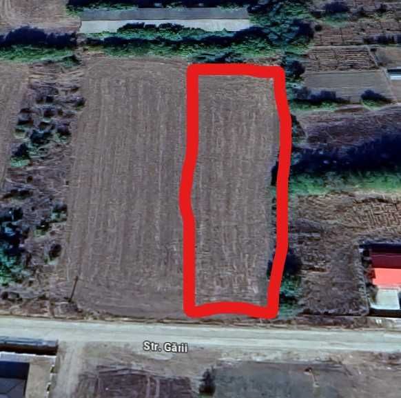 Teren intravilan 1500 mp -Gradistea Ilfov
