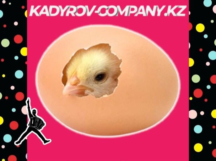 Инкубационное яйцо Ломан браун несушка привозной Россия ИЯ17