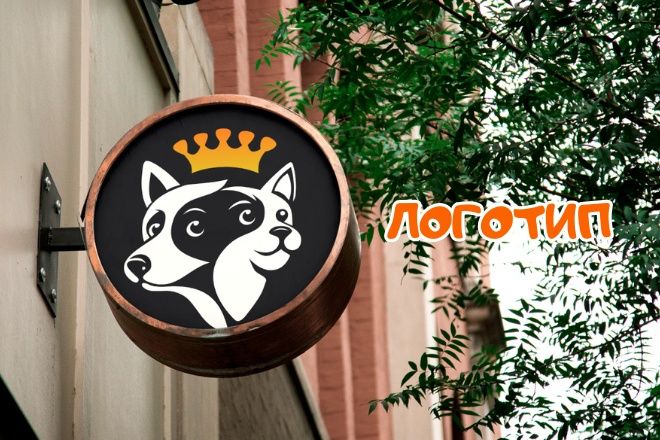 Дизайнер-иллюстратор | Логотипы, визитки, карточки, маскоты, стикеры