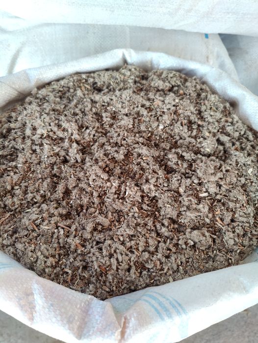 Шурха, sholxa, Шулуха чигит, Шурха, Ем мол куй учун