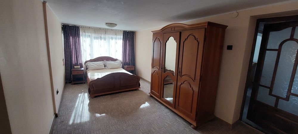 Casa de vanzare spațioasă +vie in Tifesti 294 mp locuinta, 1500mp vie