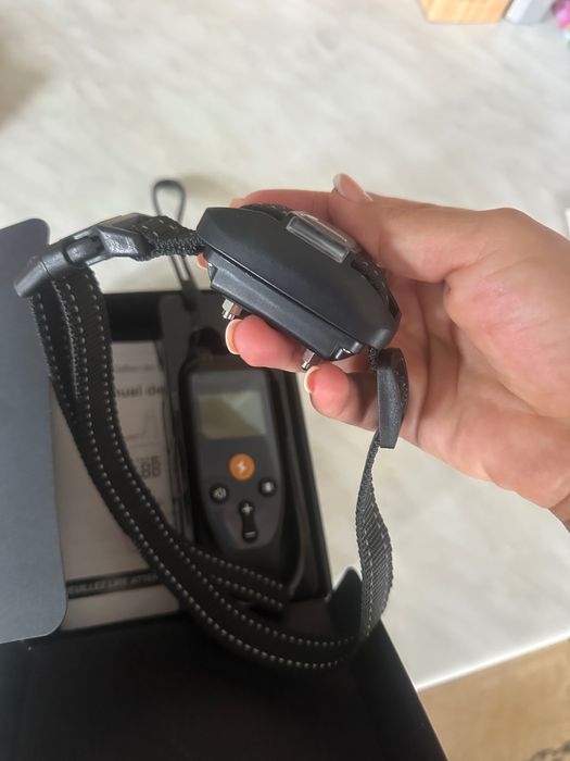 Lesa pentru  dresat cu electroșocuri