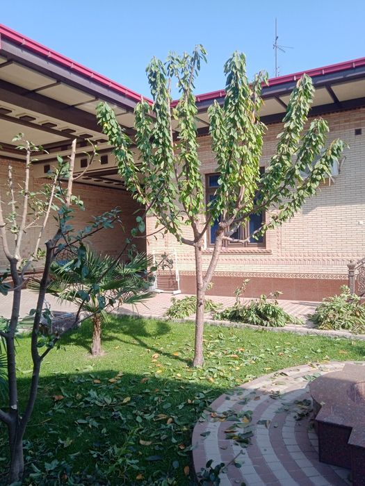 Садовник богбон ланшафтни дизайн хизмати