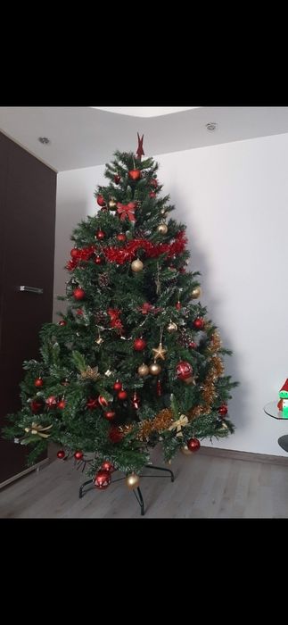 Brad Craciun 2.20 des si bogat