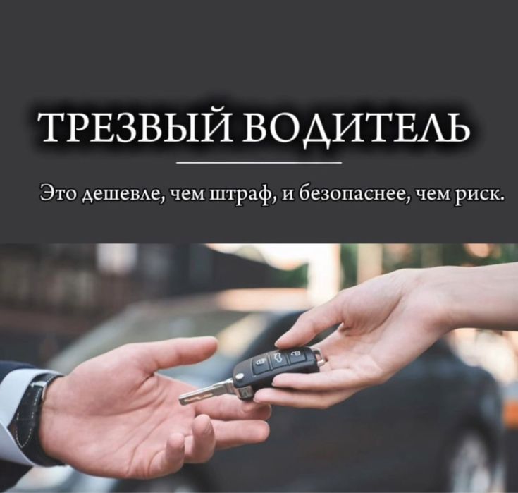 Трезвый водитель