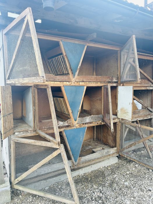 Vând cușcă iepuri