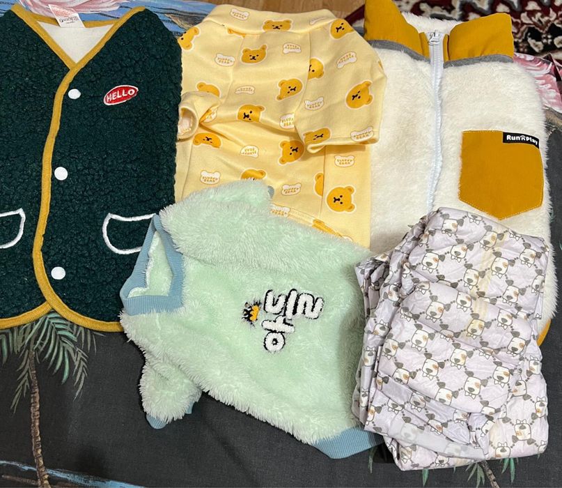 Одежда для собак