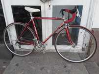 cursiera rowona/cadru alan