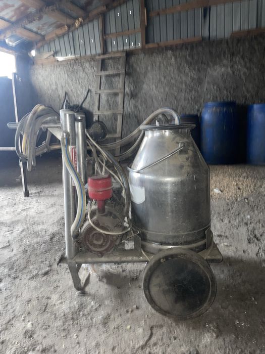 Vand aparat de muls vaci