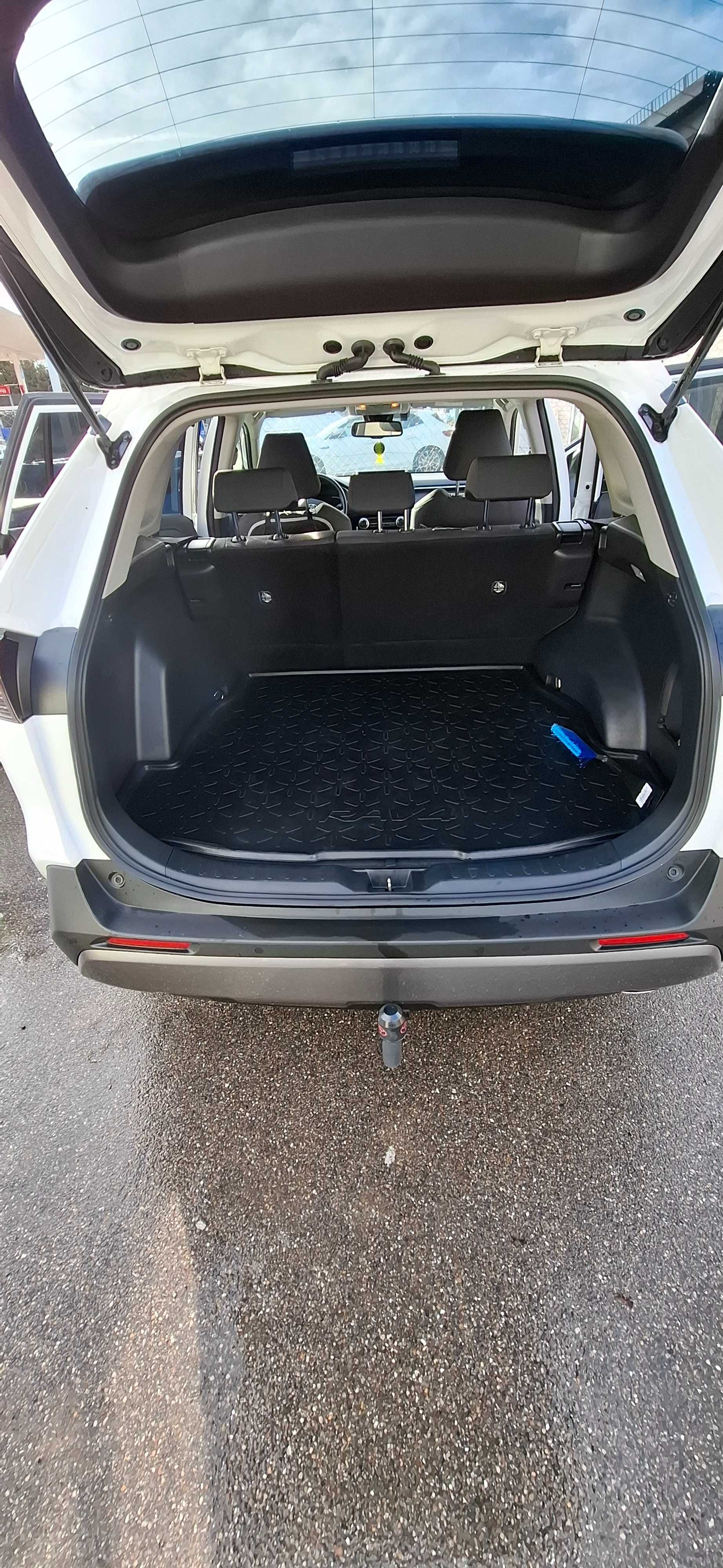 Toyota rav4 hibrid