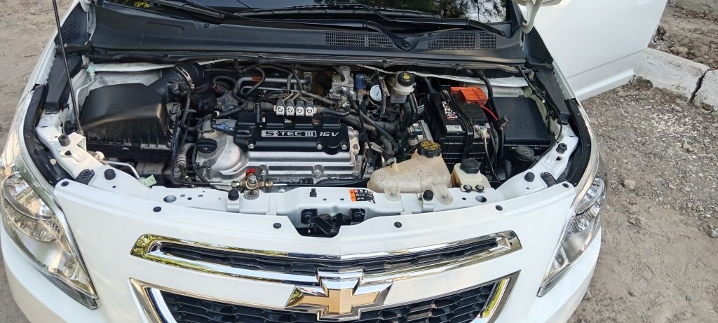 2023/2024  COBALT LTZ