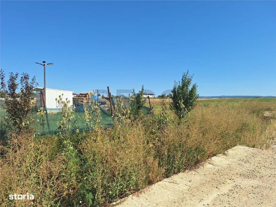 Reco, Teren Intravilan Osorhei la E60