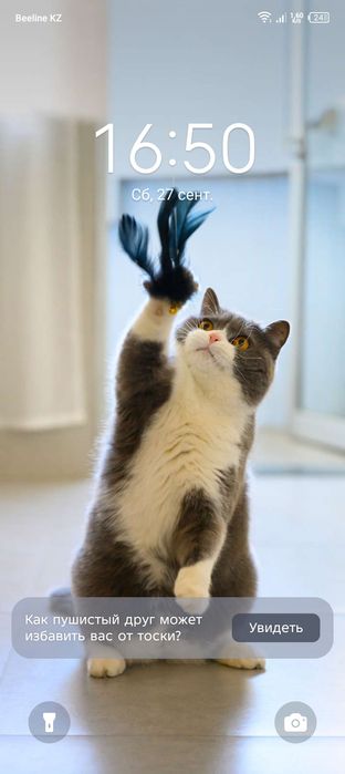 Парень массажист Алматы, только на выезд женщинам и девушкам.