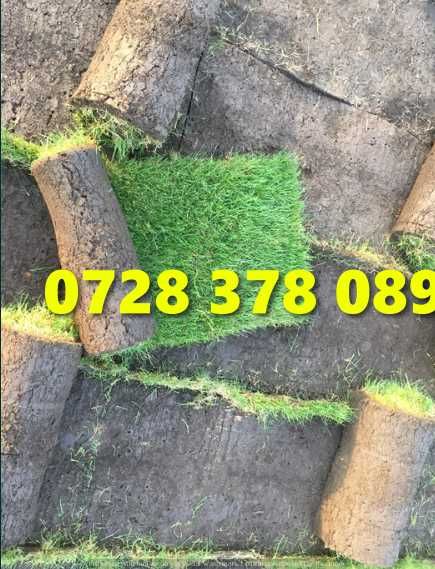 Gazon rulou - Gradina Verde vesnica Garantat ! Firma autorizata
