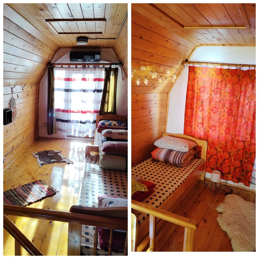 Cabana cu narcise