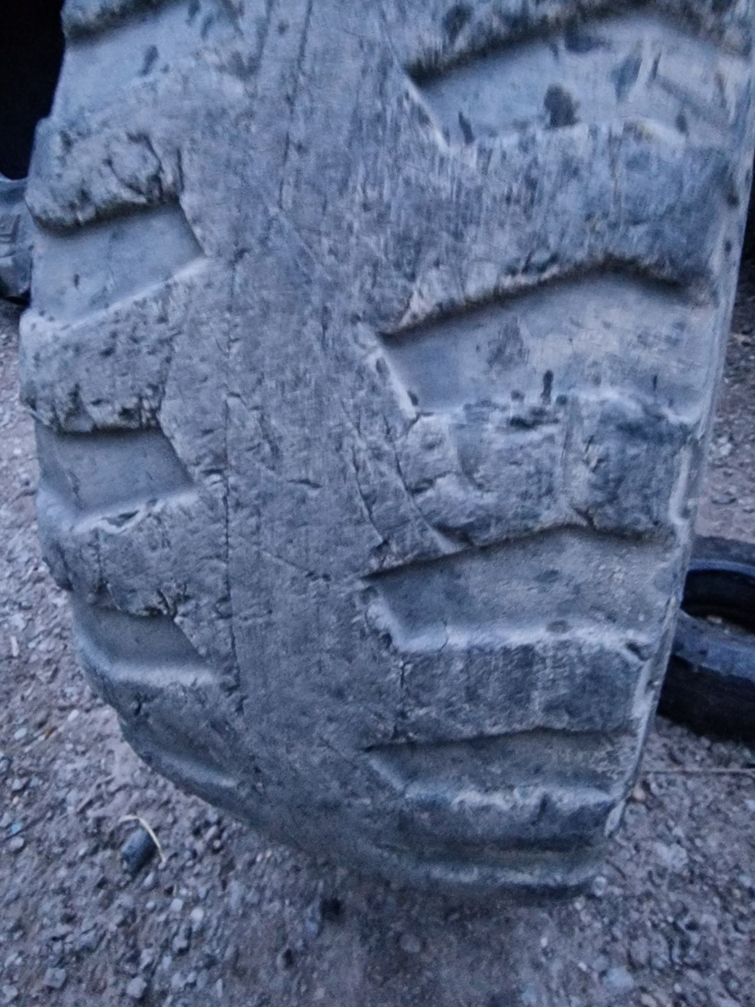 CAUCIUC bobcat 10-16.5 marca Michelin