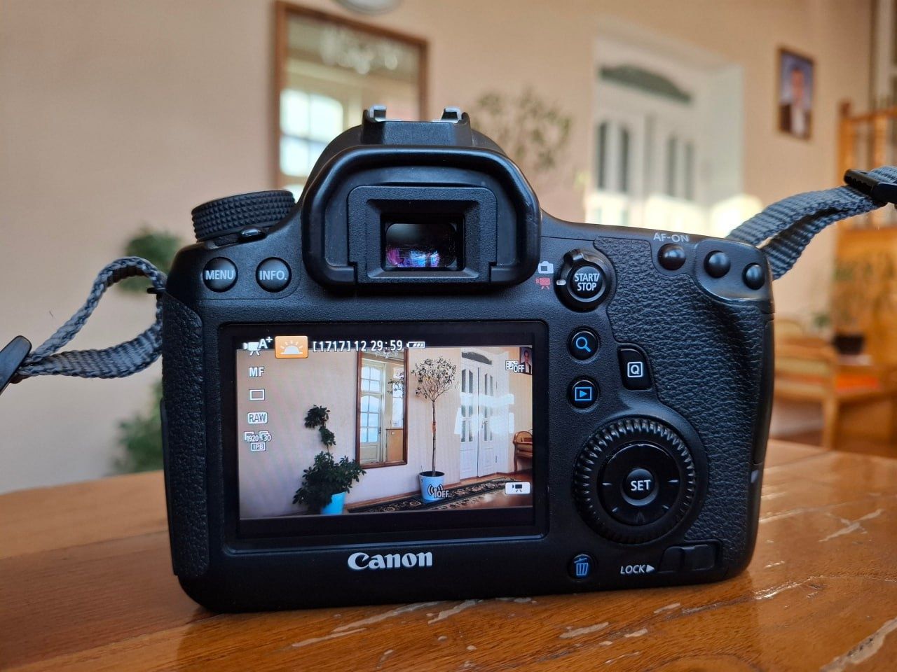 Canon 6D с Sigma 24-70 mm 2.8f