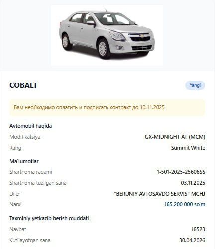 SHARTNAMA Cobalt Style/Midnight MCM 2025