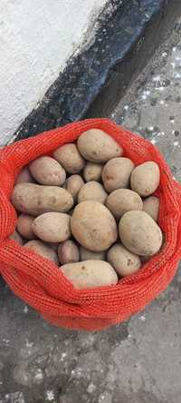 Картошка на еду 25 кг за 4000 т.