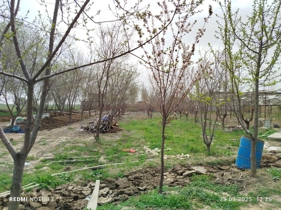 Yangi yo'lda 8 sotixli yer sotiladi