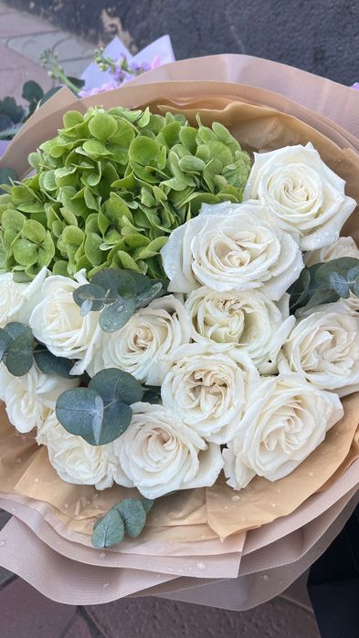 Продам цветы б/у