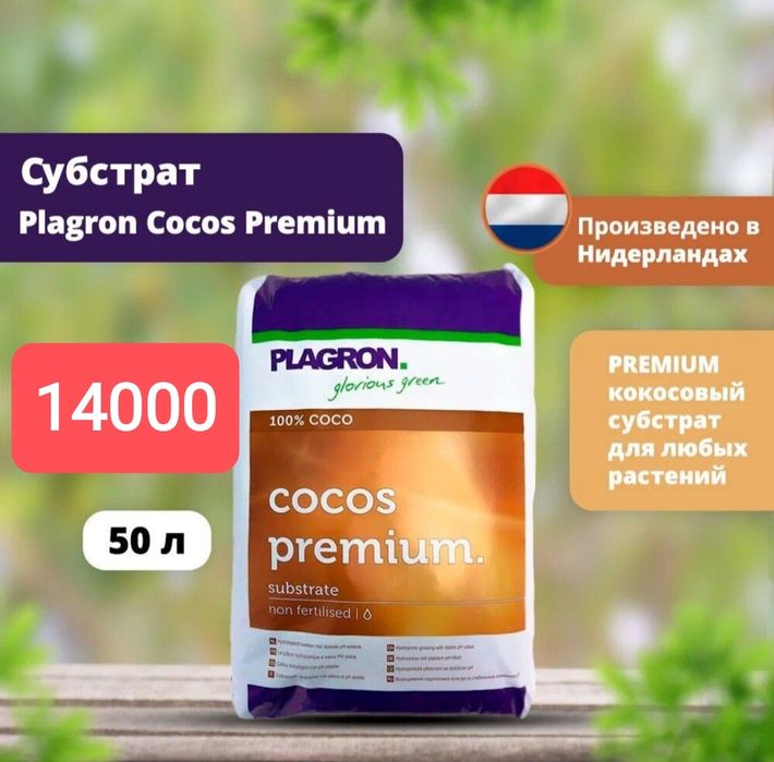 Комнатные цветы, для растений