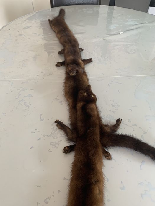 Gulere din blana naturala