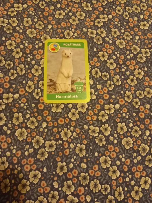 Gradinita de animale