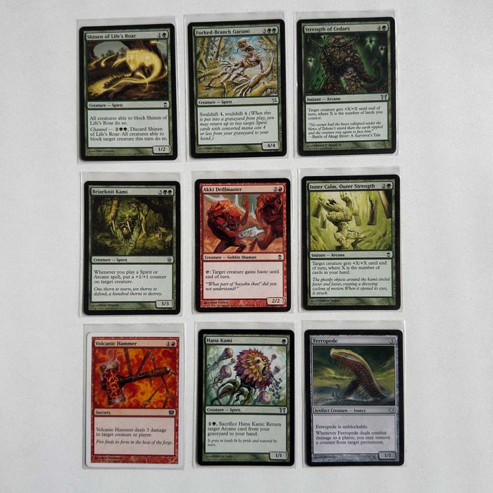 Magic The Gathering карти /сет за игра/