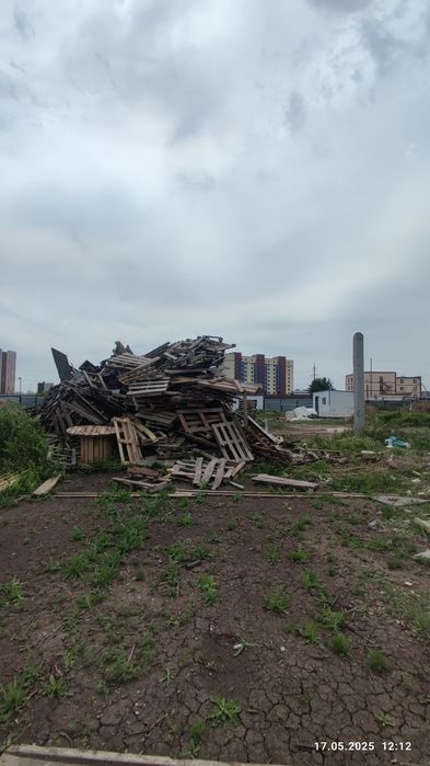 Дрова отдам все за 30 тыс тнг