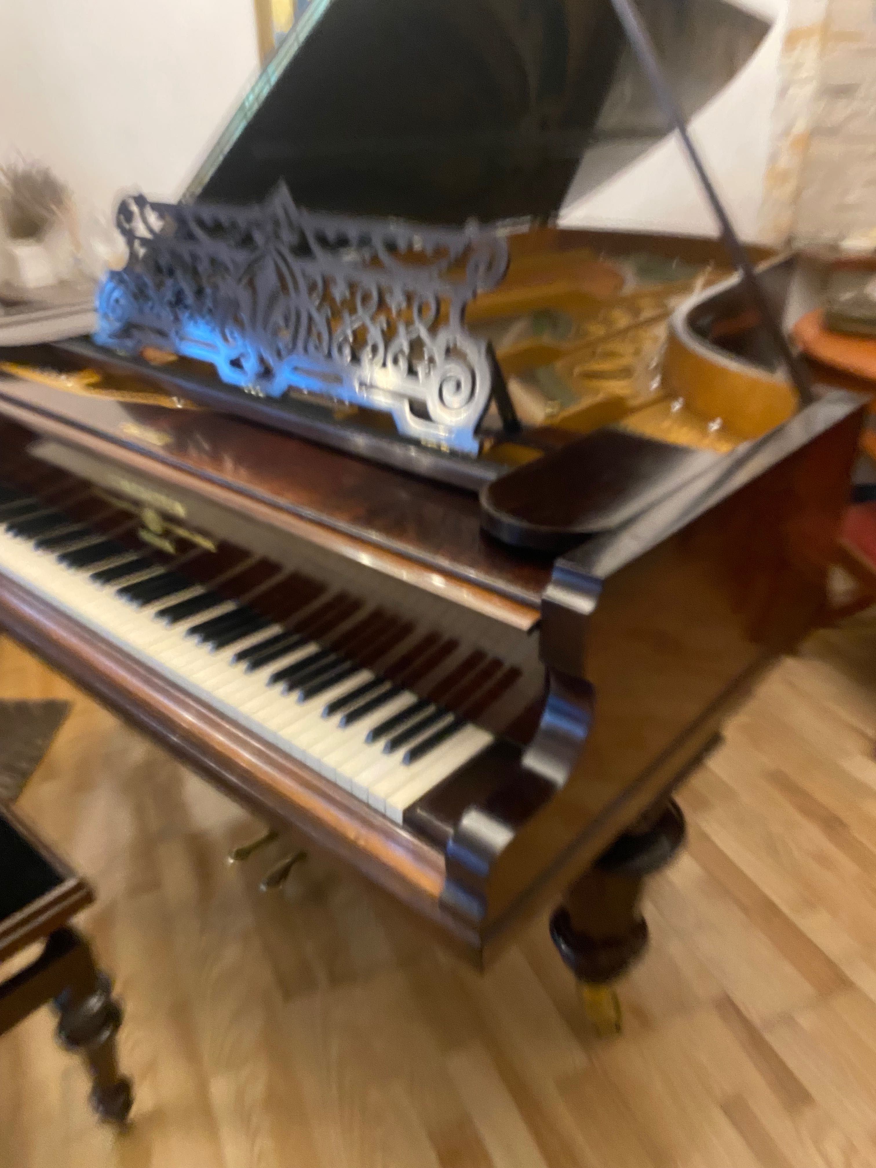 BECHSTEIN-ca și NOU- Pian Concert !