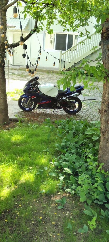 Suzuki gsxr 2001