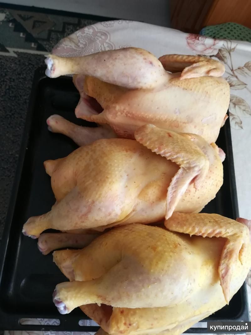 Мясо домашнего бройлера.