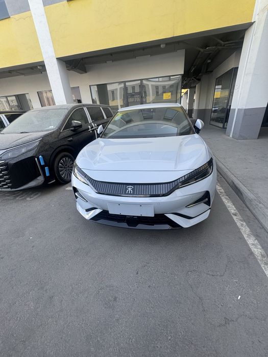 Byd song L narda grey