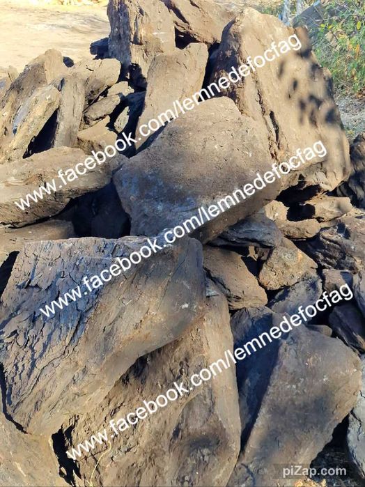 Lichidare de stoc , carbuni lignit si lemne de foc fag , crapate