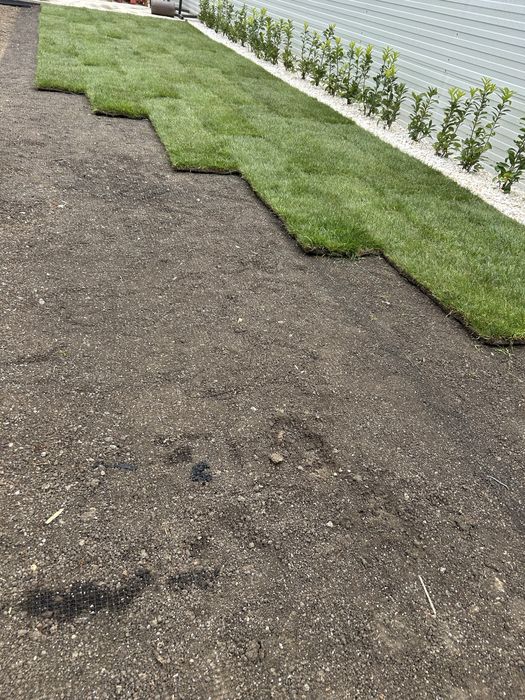 Rulouri de gazon-Rustic