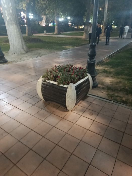 Skameyka va urnalar