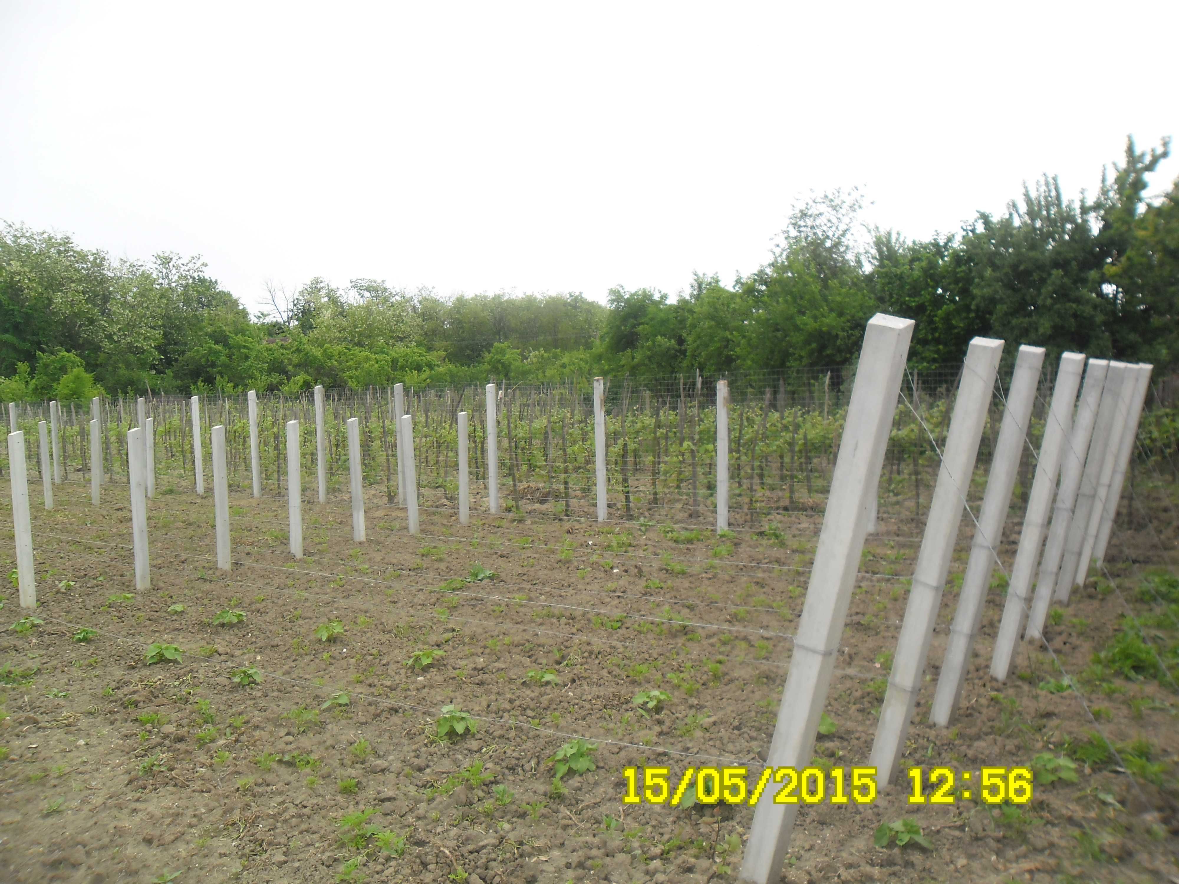 Spalieri beton/ Spalieri gard/Spalieri vie/Gard beton/Tuburi fantana