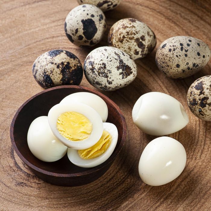 Яйца перепелов бөдене