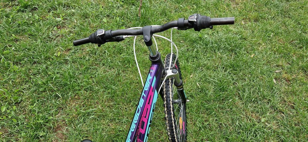 Bicicleta MTB Cross Speedster fete