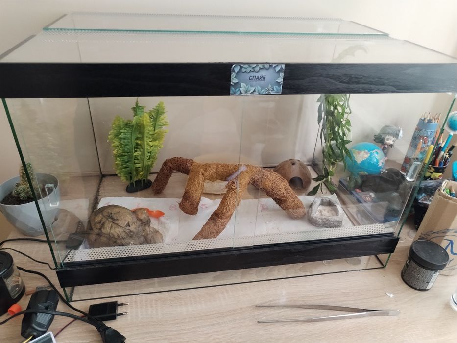 Оборудване и терариум